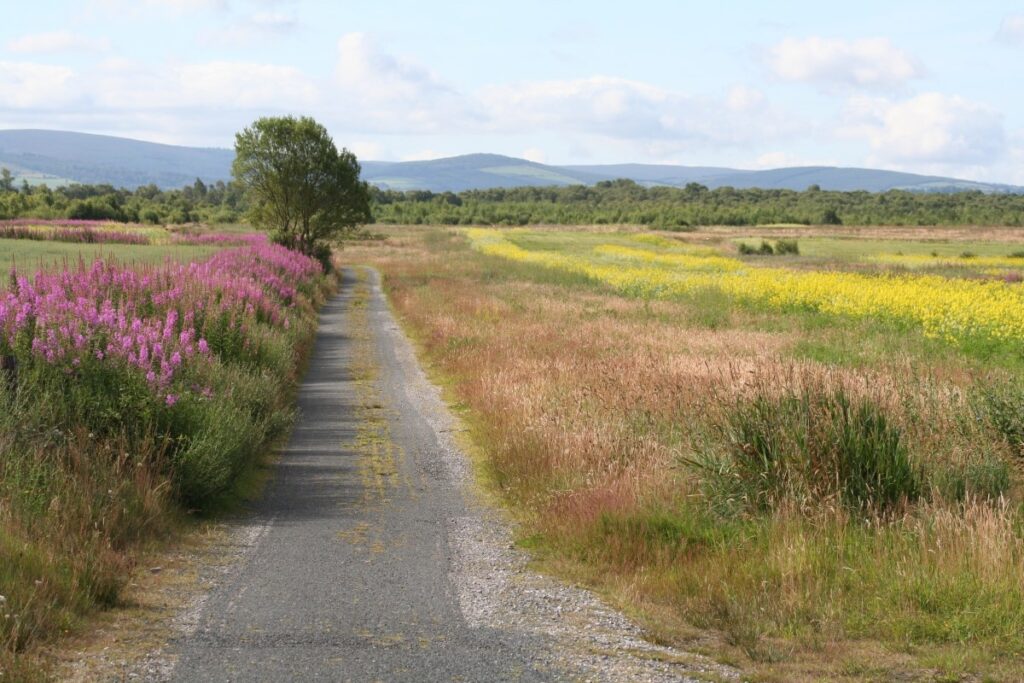 Lough Boora